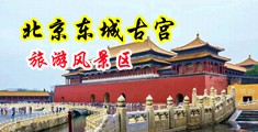 看一个操逼三级视频中国北京-东城古宫旅游风景区